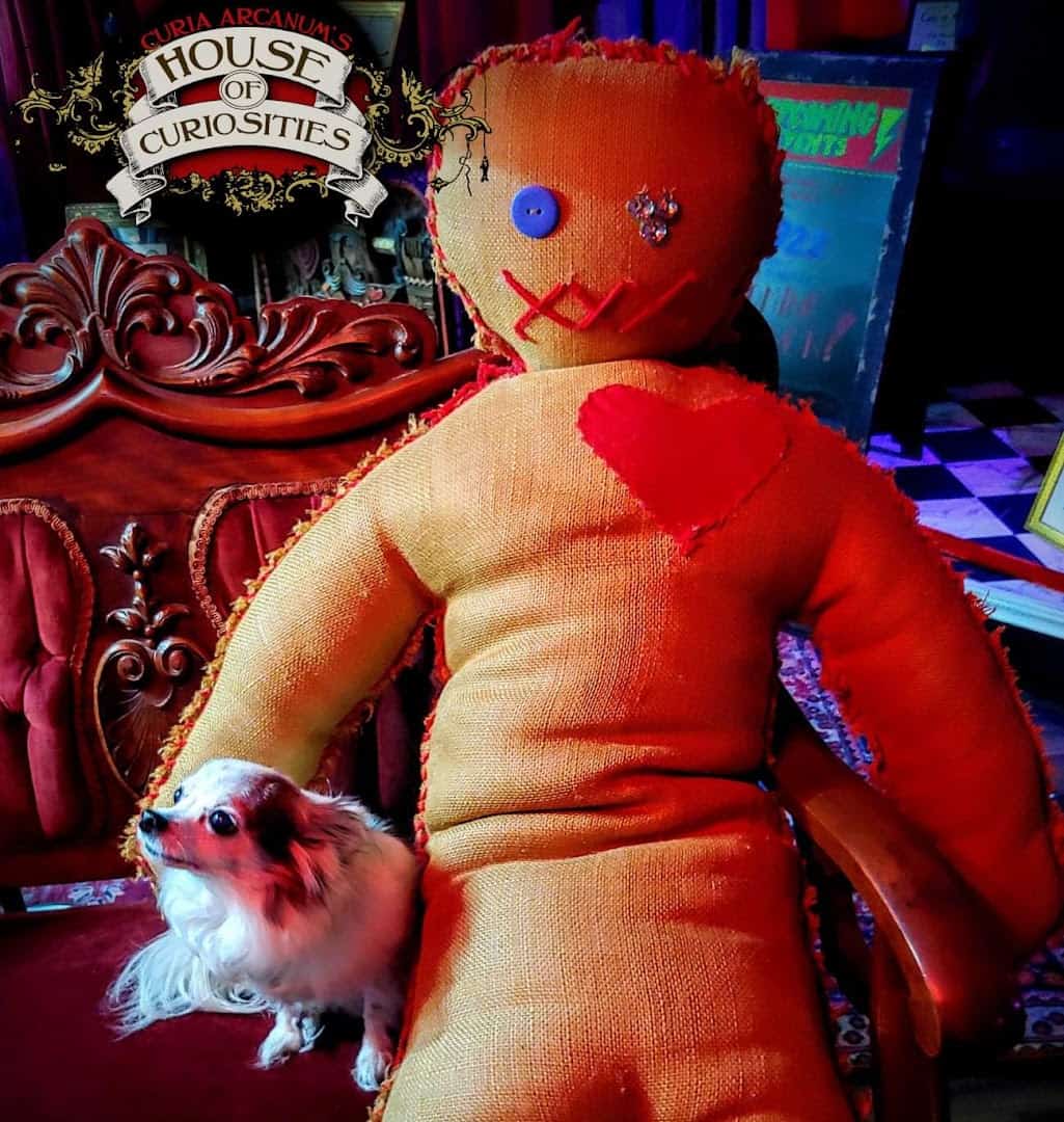Handmade voodoo doll and House of Curiosities sign at Curia Arcanum in Austin, Texas