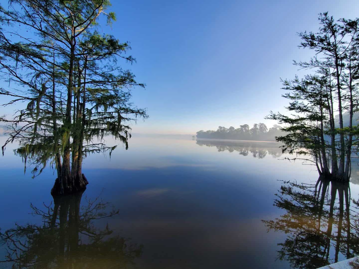 Cypress trees reflected in calm water at Martin Dies Jr State Park