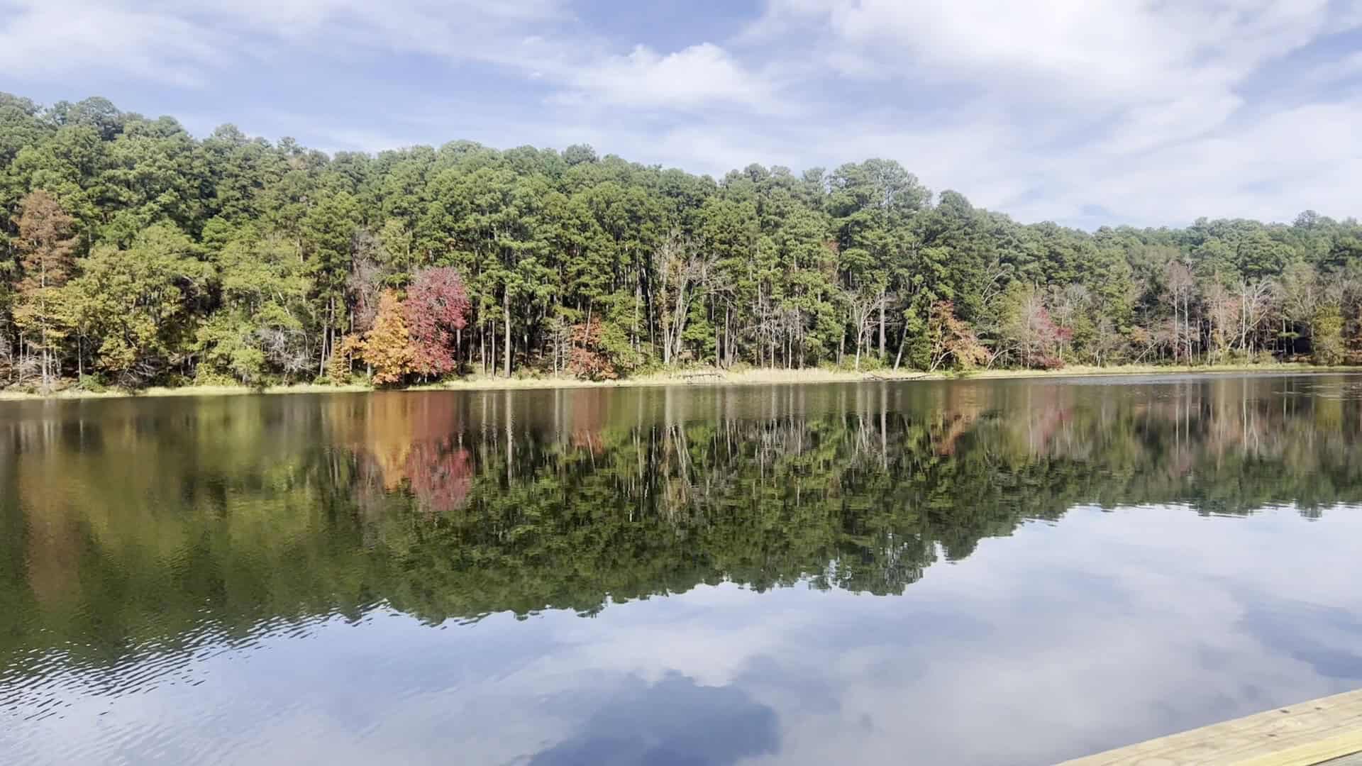 Forest reflected in the still lake at Daingerfield State Park