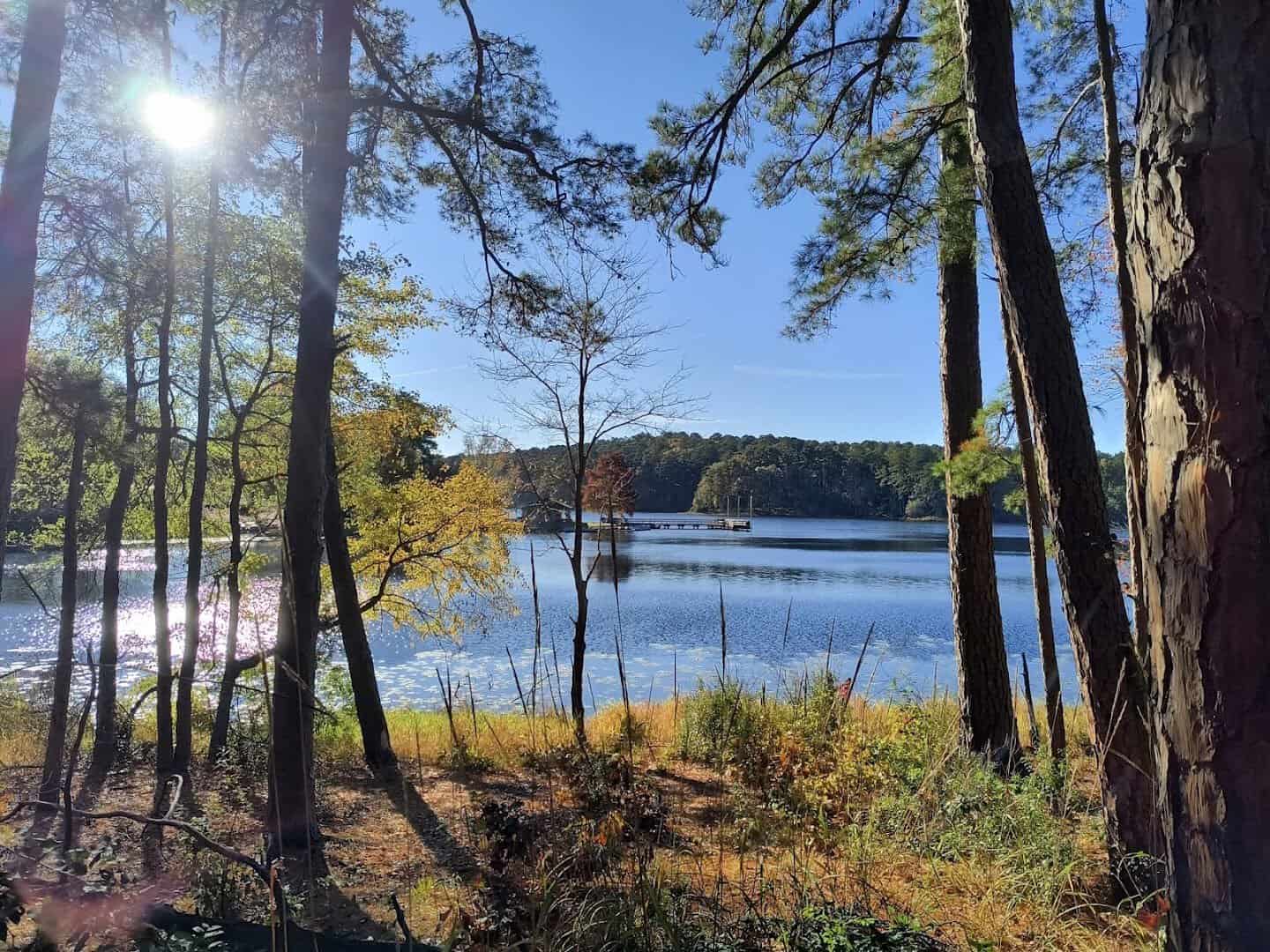 Daingerfield State Park lake seen through towering pines