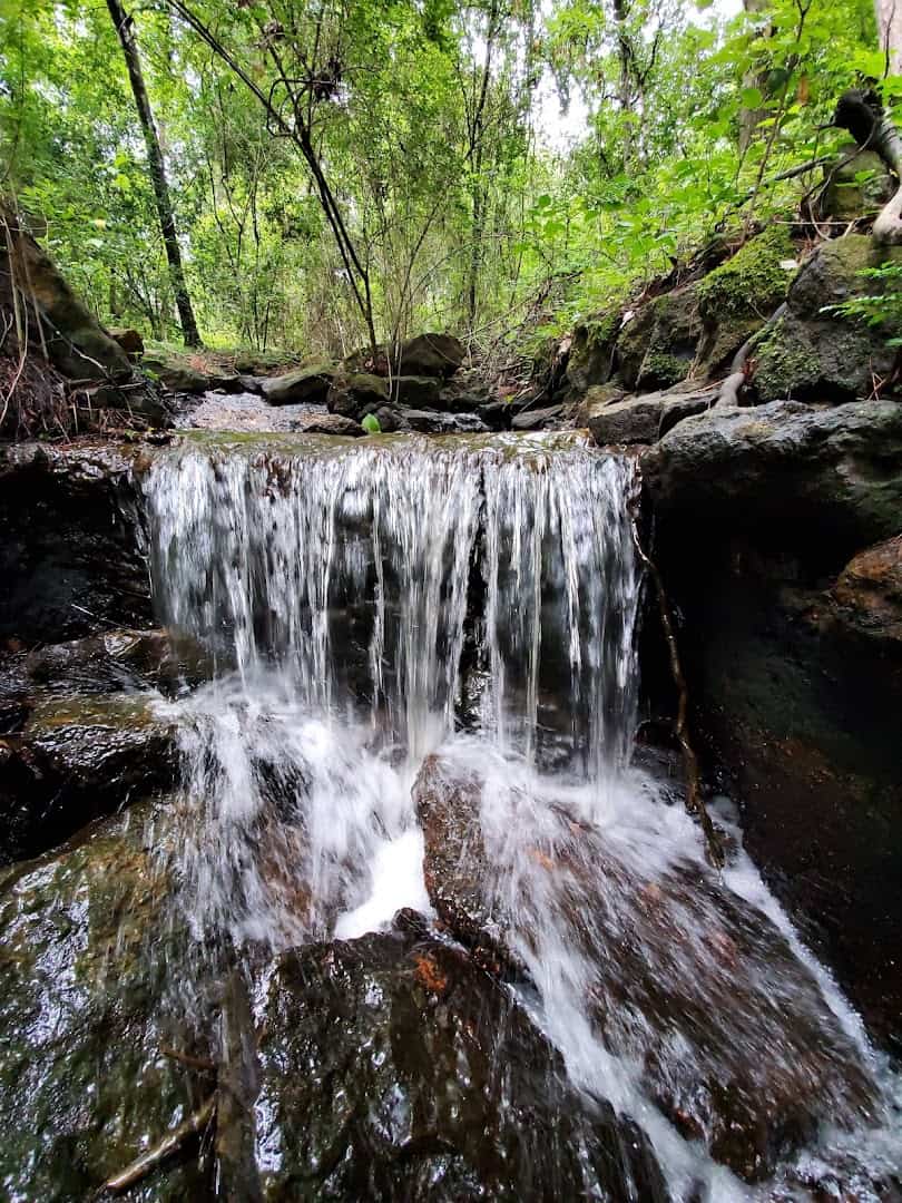 Small waterfall in the woods at Daingerfield State Park