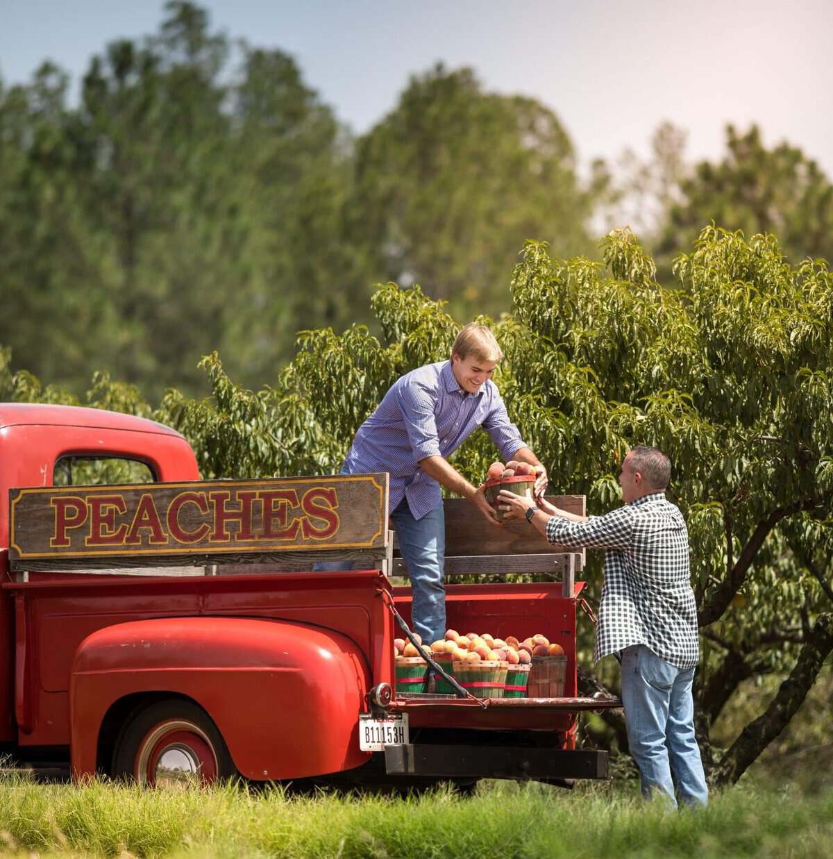 Vintage red Peaches truck at Das Peach Haus during peach season in Fredericksburg