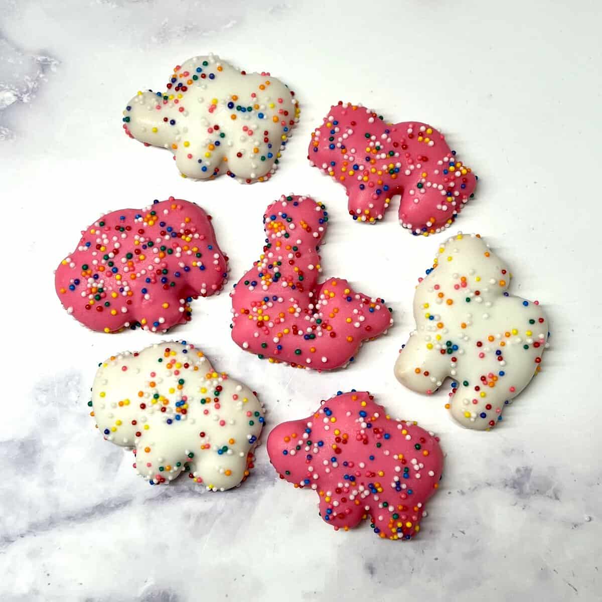 Decorated gluten-free cookies at Sweet Gilly's in Frisco