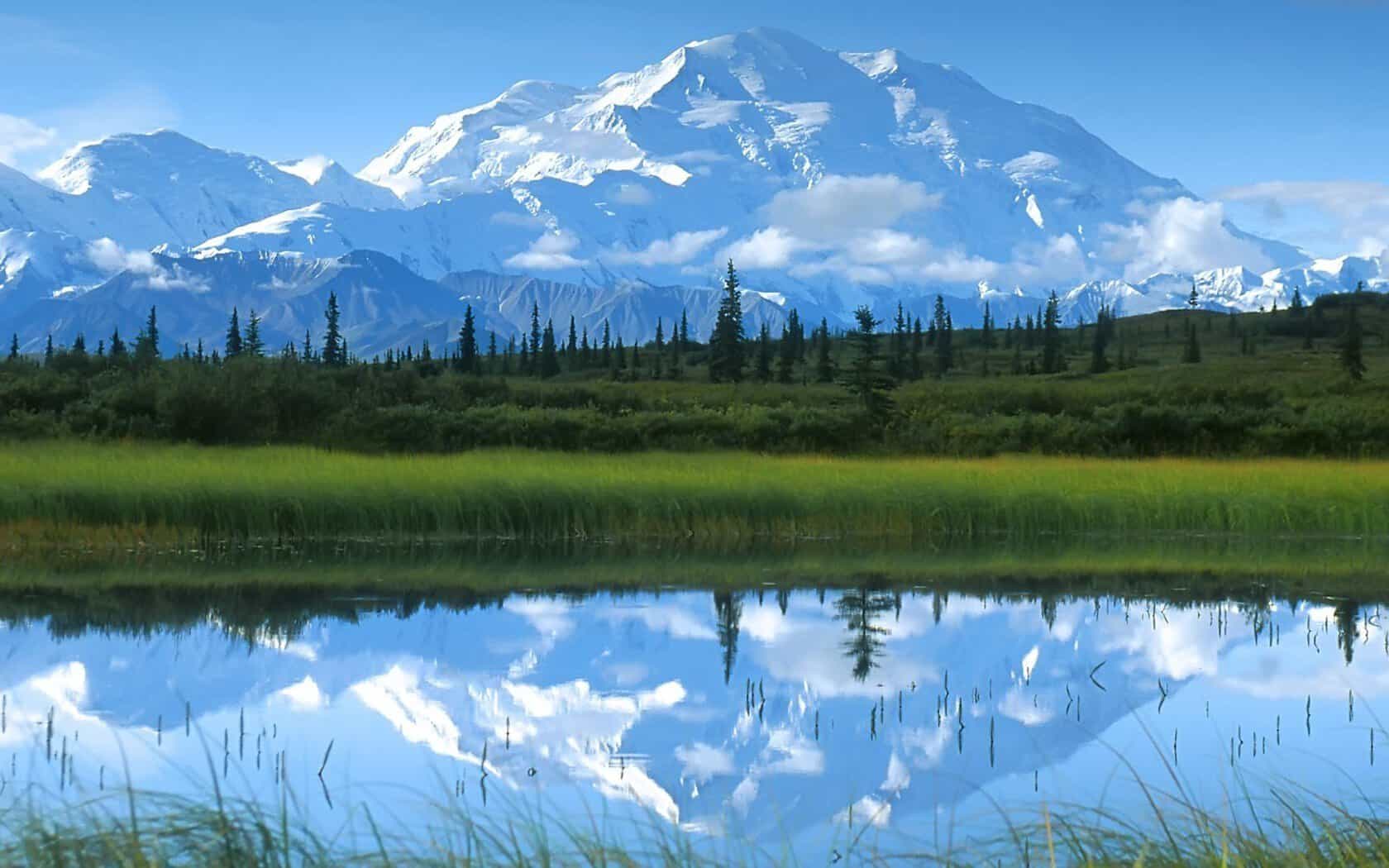 Denali reflected in a tundra pond in Denali National Park, Alaska