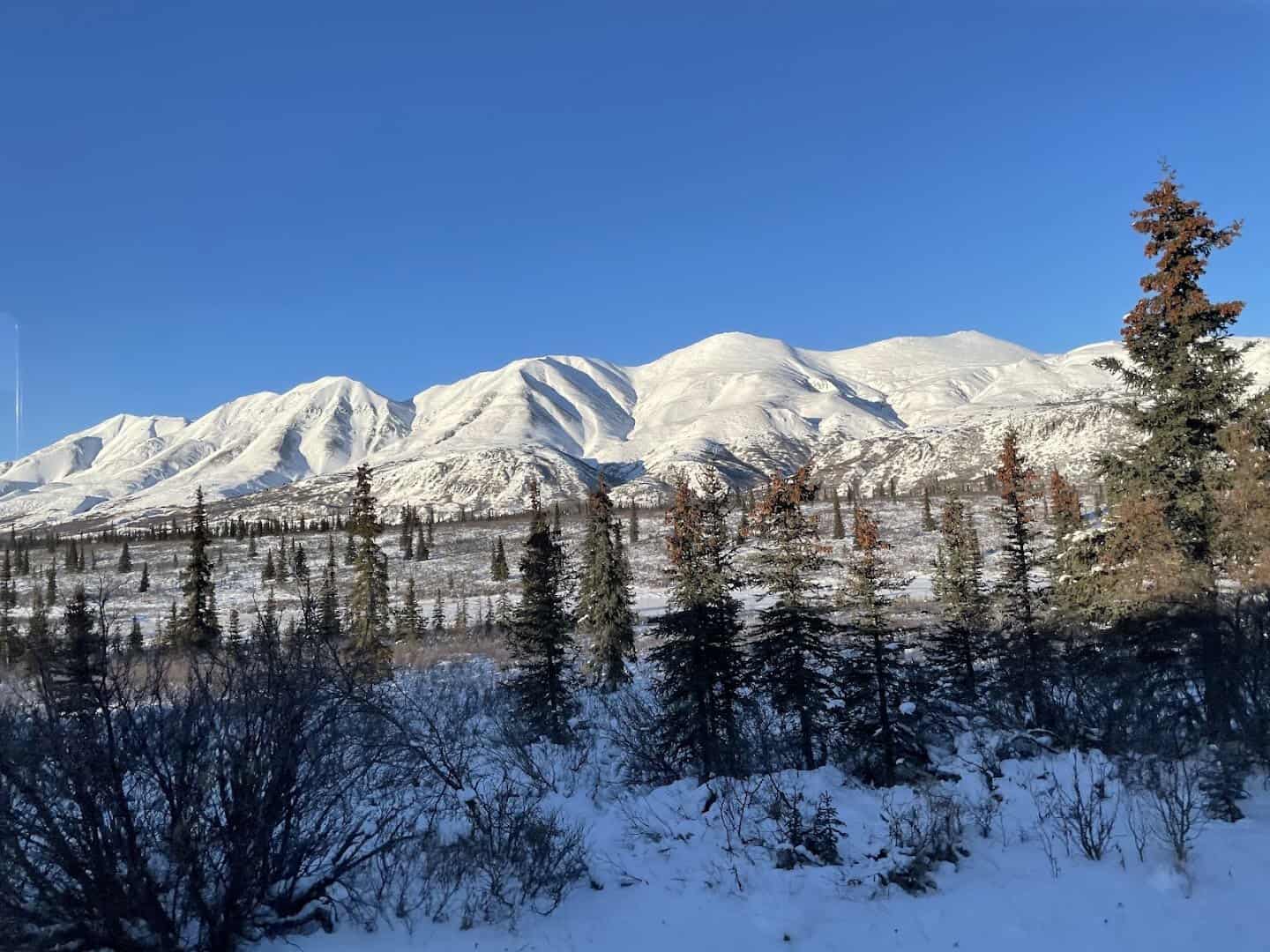 The snow-capped Denali massif, Denali National Park, Alaska