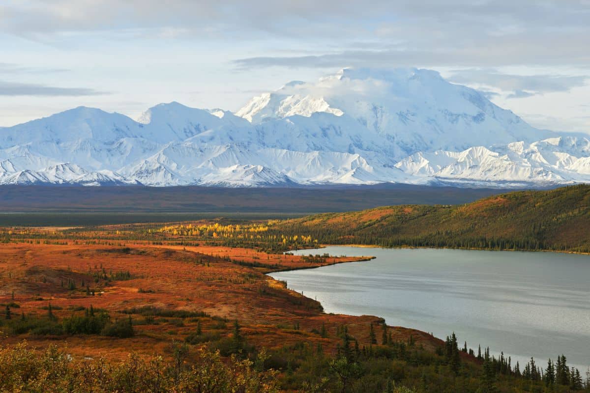 Denali rising over autumn tundra and Wonder Lake, Alaska