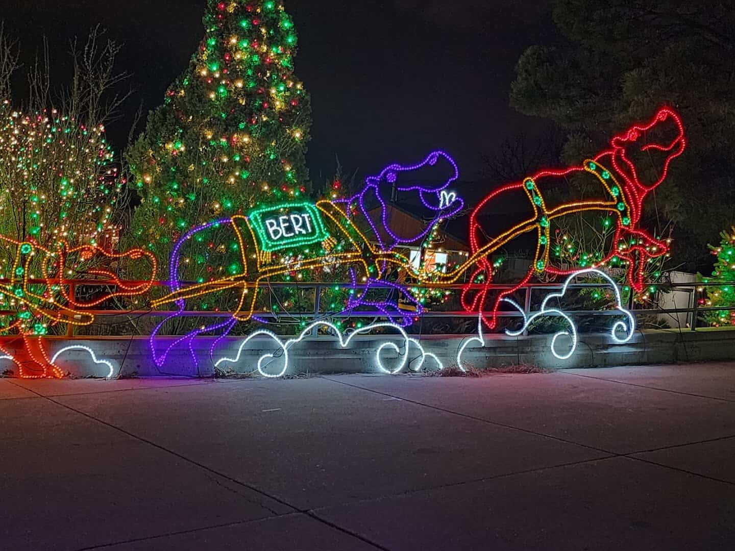 Illuminated animated animal light sculptures at night during Zoo Lights, Denver Zoo, Denver, Colorado