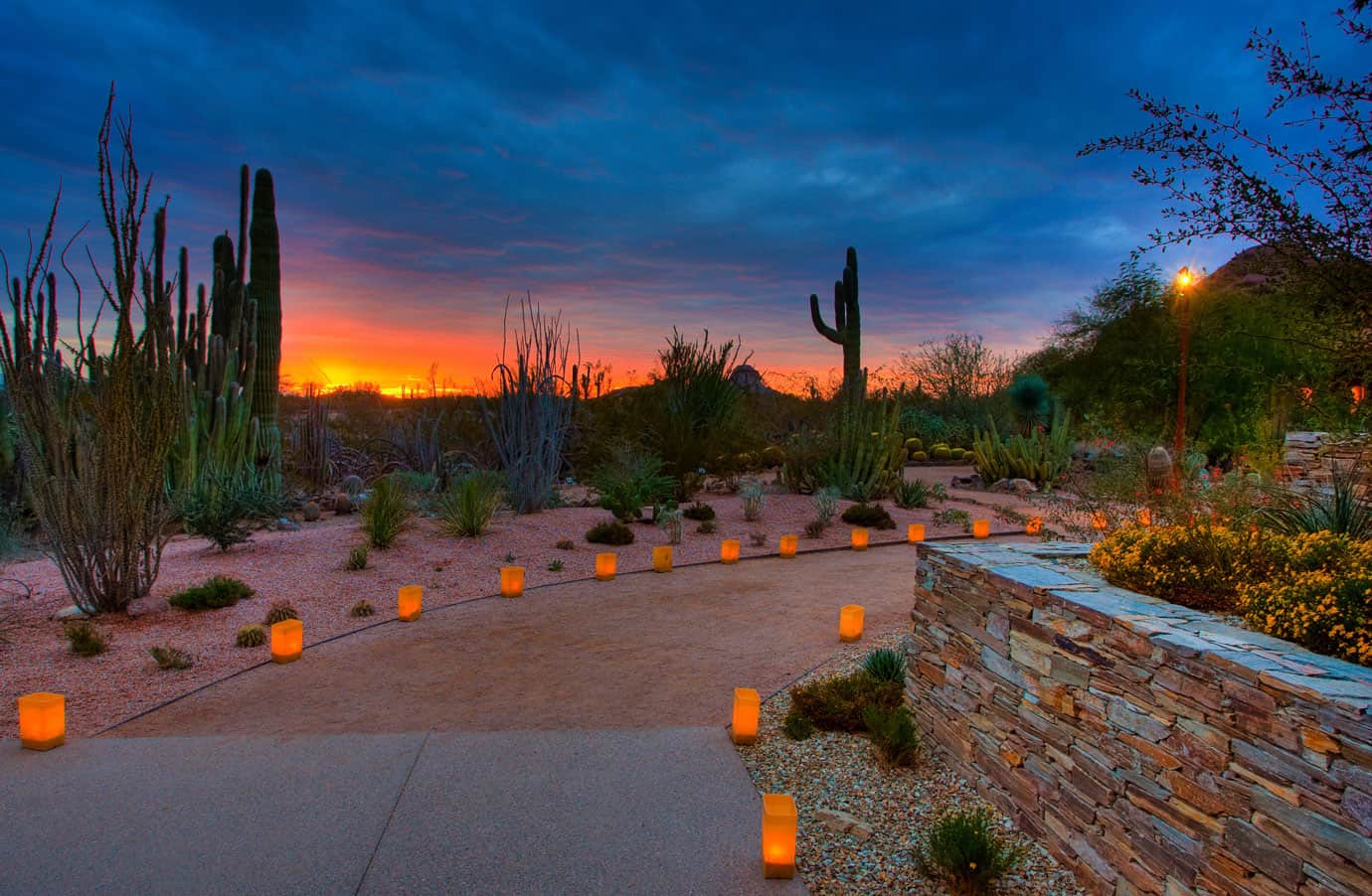 Luminaria bags glowing along a desert path at dusk during Las Noches de las Luminarias, Desert Botanical Garden, Phoenix, Arizona
