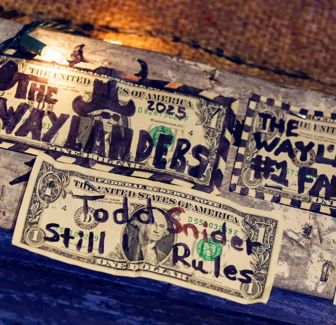 Signed dollar bills covering the ceiling at Devil's Backbone Tavern in Fischer, Texas