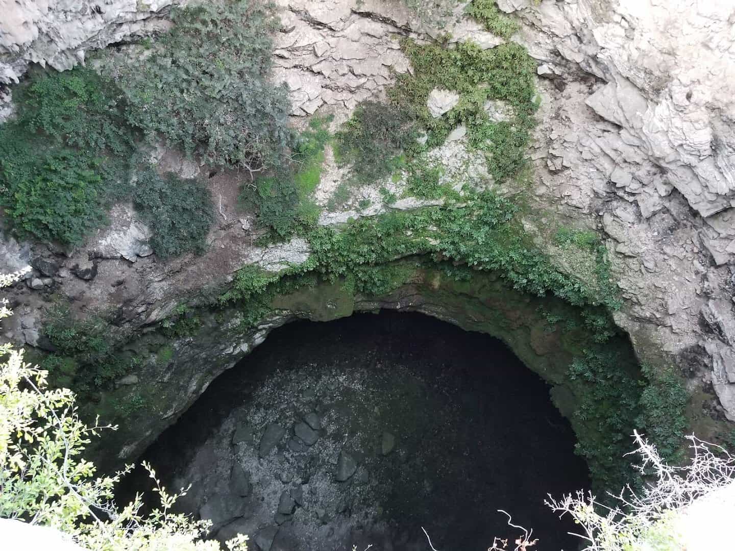 Looking down into the vertical cave opening of Devils Sinkhole State Natural Area near Rocksprings, Texas