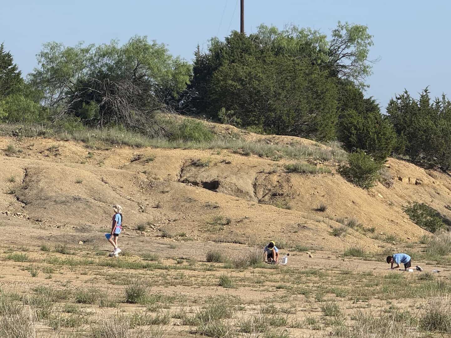 Visitors searching the eroded slopes for fossils at Mineral Wells Fossil Park