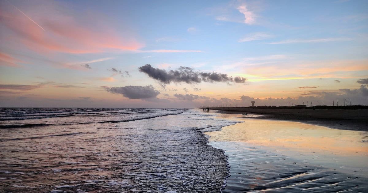 These 12 Dog-Friendly Texas Beaches Belong on Every Pet Parent’s List