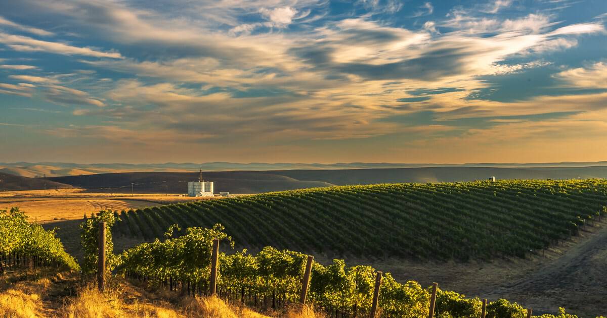 11 Underrated U.S. Wine Regions That Rival Napa for Half the Price