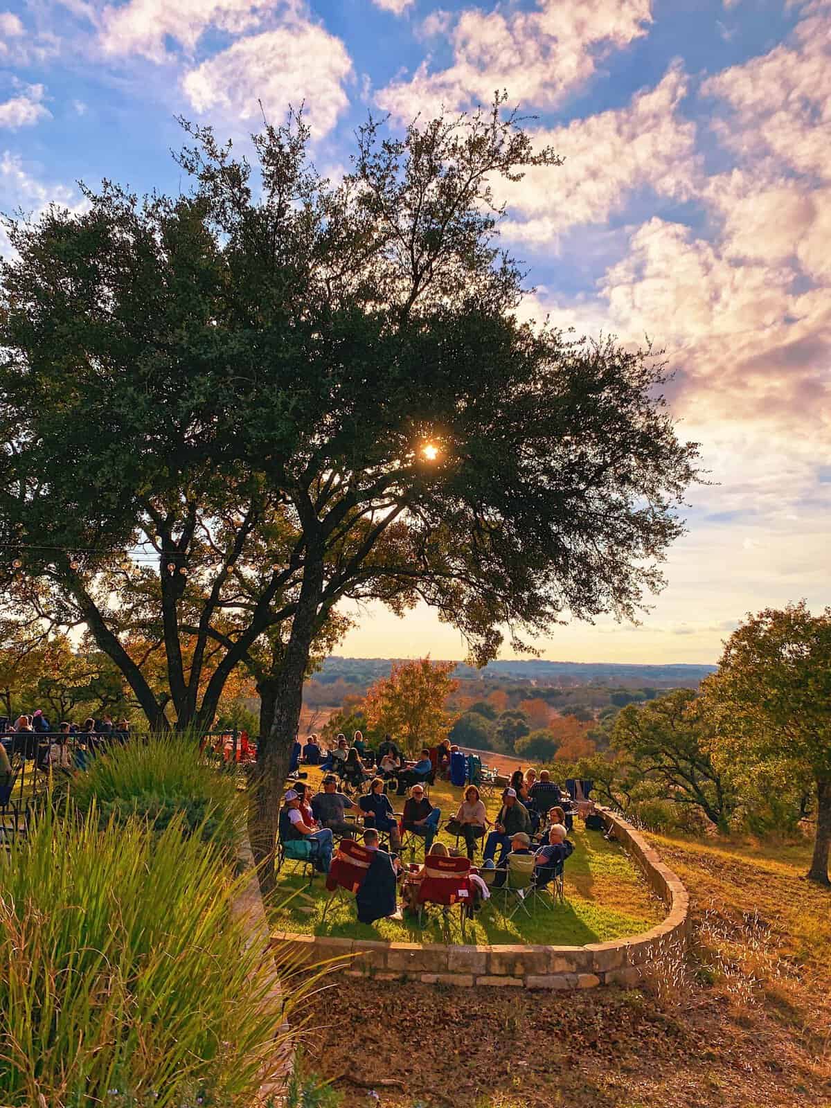 A live oak and rolling Hill Country at sunset near Driftwood, Texas