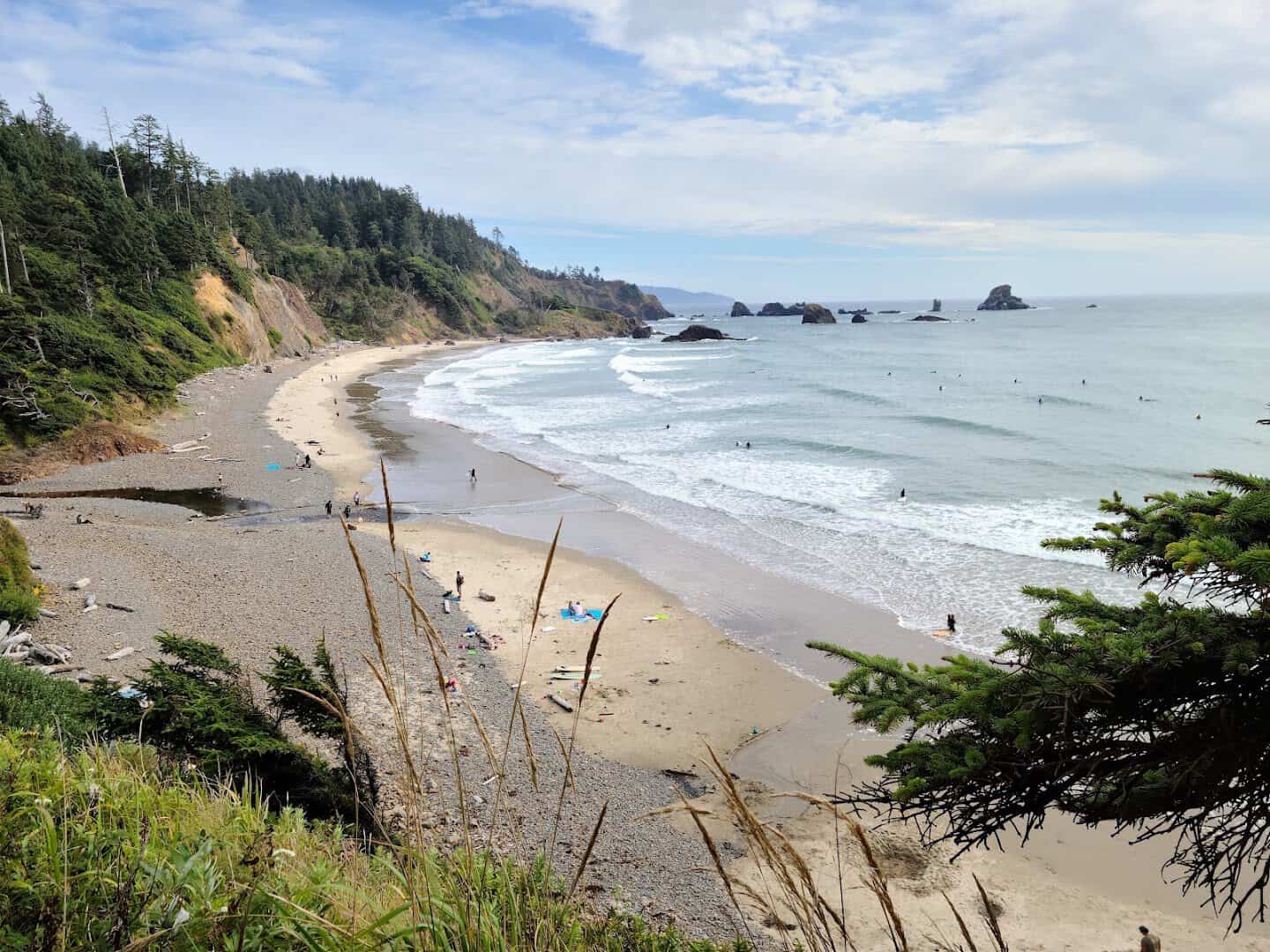 Curving beach and forested headland with sea stacks at Ecola State Park, Cannon Beach, Oregon