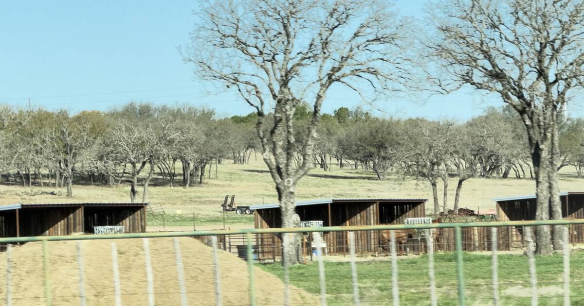 This Affordable Texas Town Lets a Modest Budget Cover Rent, Groceries, and Utilities