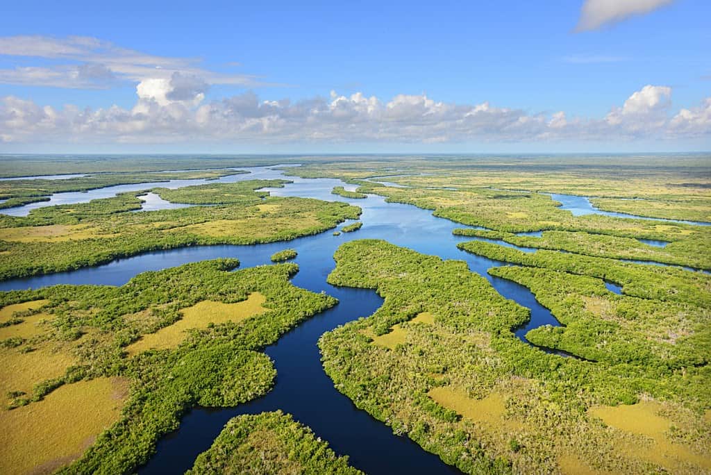 Aerial view of the river of grass and waterways at Everglades National Park, Florida