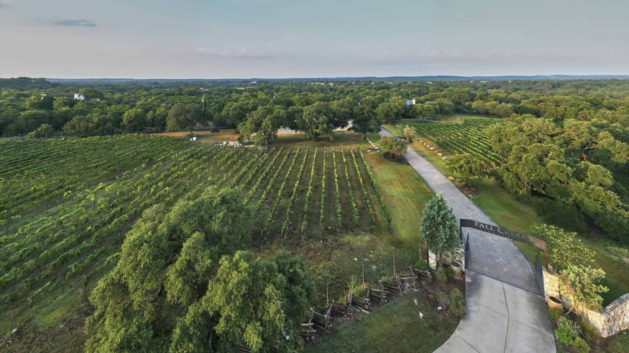 Aerial view of the vineyard estate near Lake Buchanan at Fall Creek Vineyards in Tow, Texas