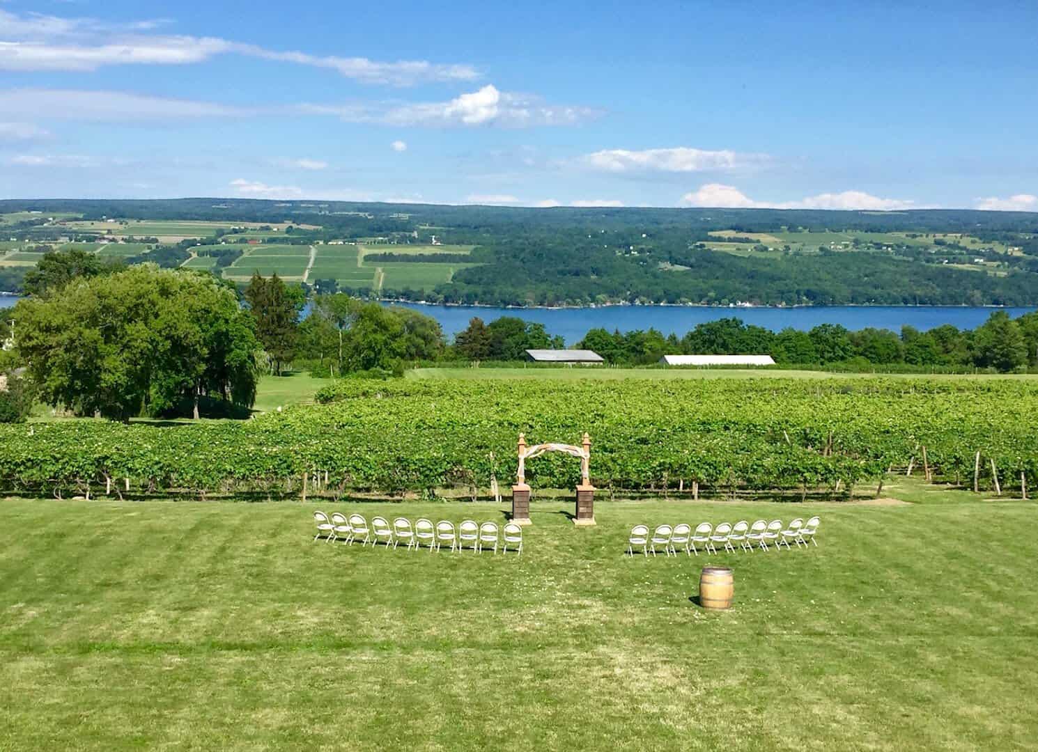 Vineyard rows sloping to Seneca Lake in the Finger Lakes, New York