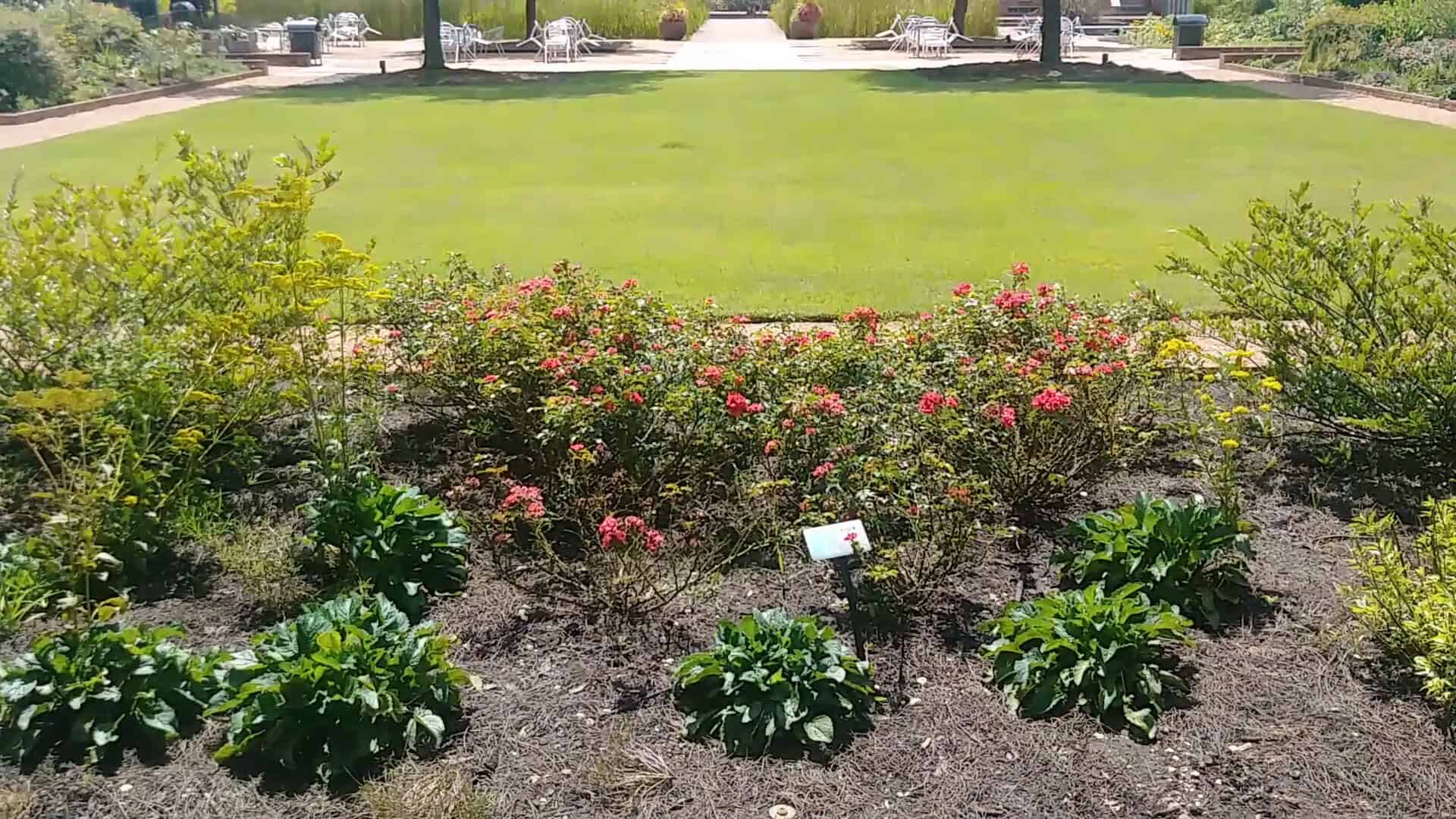 Colorful flower beds and lawn at Shangri La Botanical Gardens in Orange, Texas