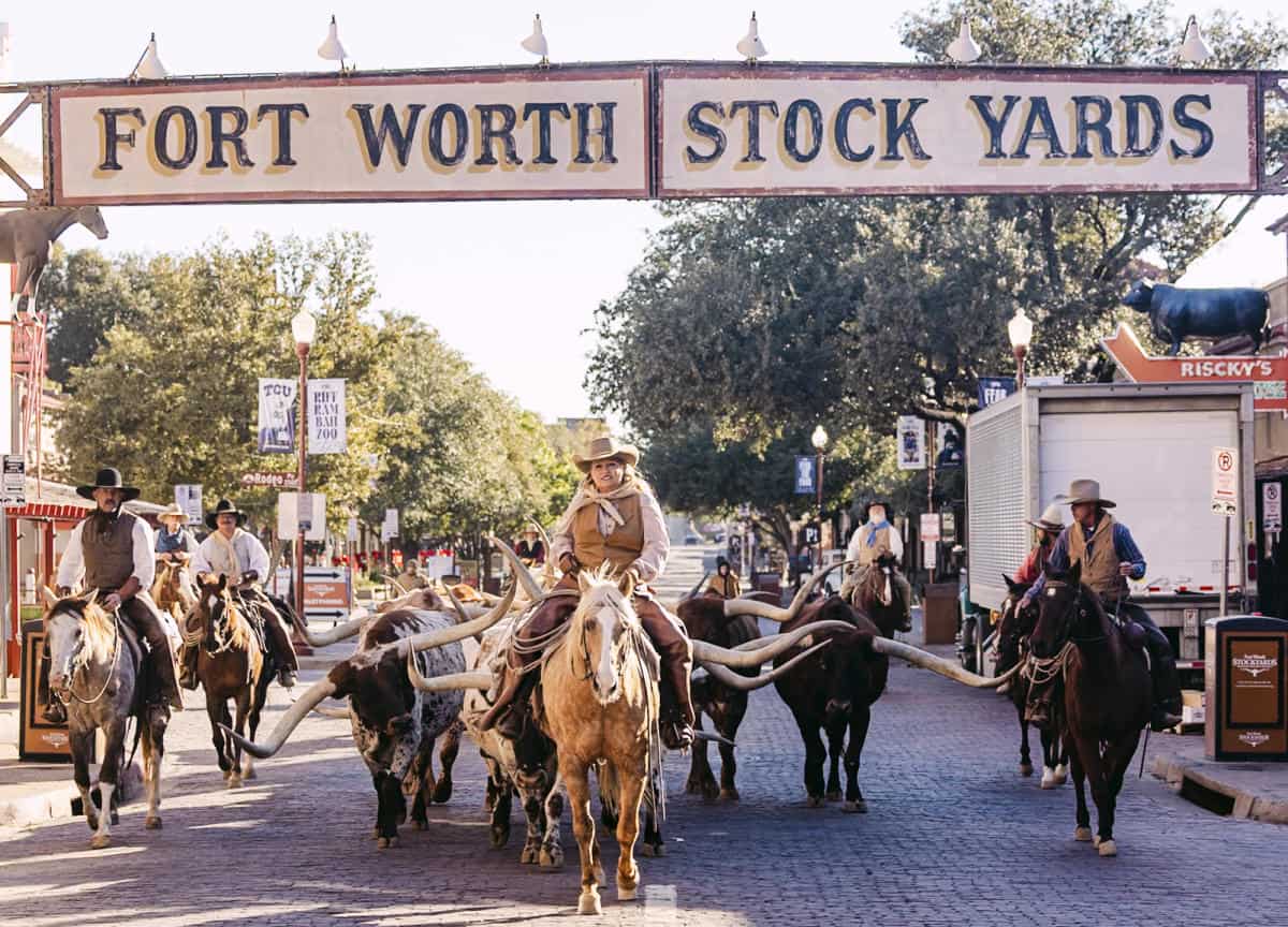 The Fort Worth Stockyards gate with a longhorn cattle drive down Exchange Avenue, Fort Worth, Texas