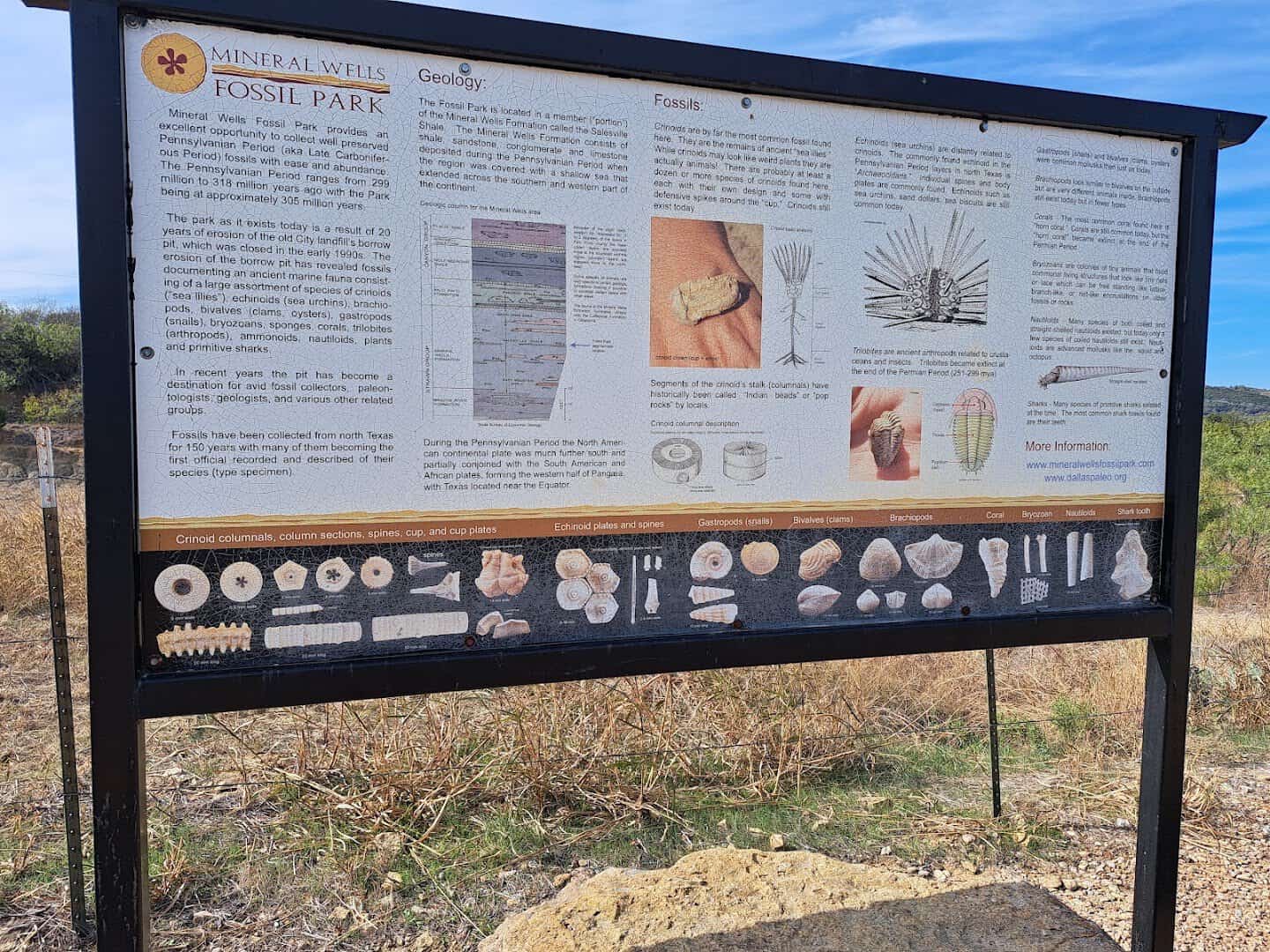 Interpretive sign explaining the fossils and geology of Mineral Wells Fossil Park