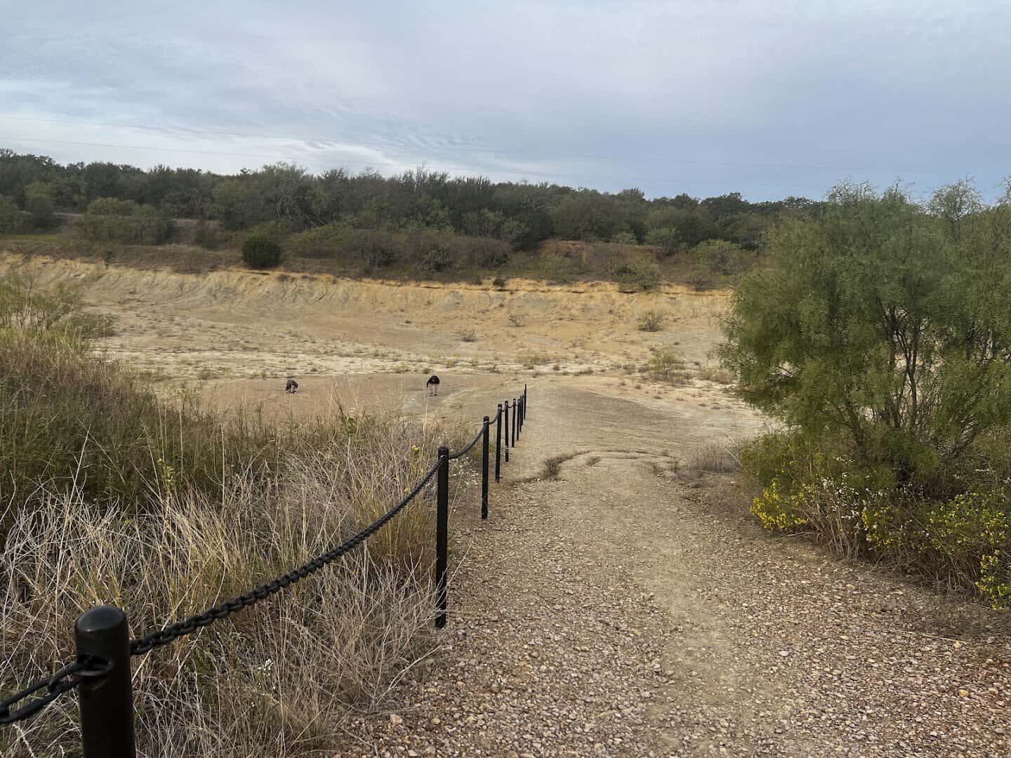 The rough eroded terrain and chain lined trail at Mineral Wells Fossil Park