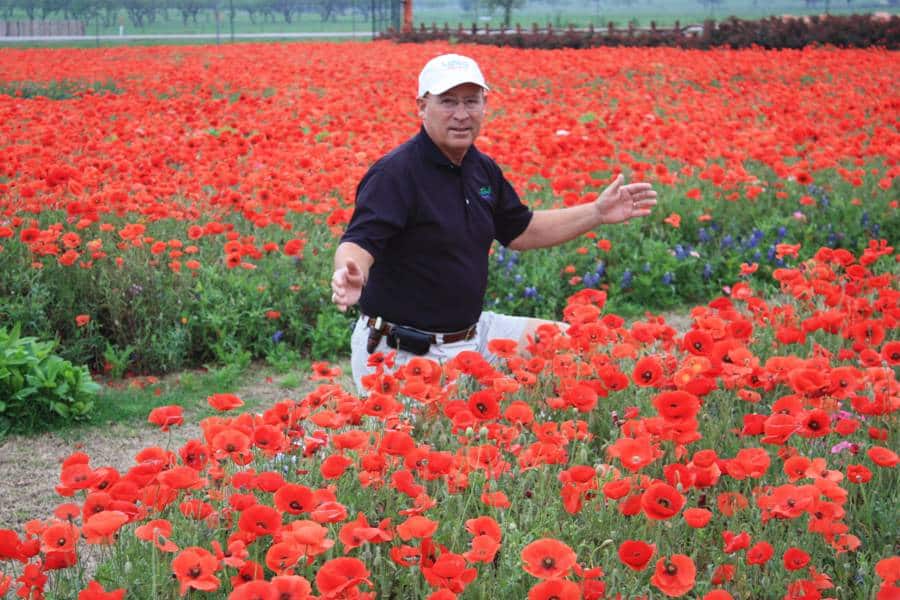 Wildseed Farms founder John R. Thomas standing in a field of red poppies