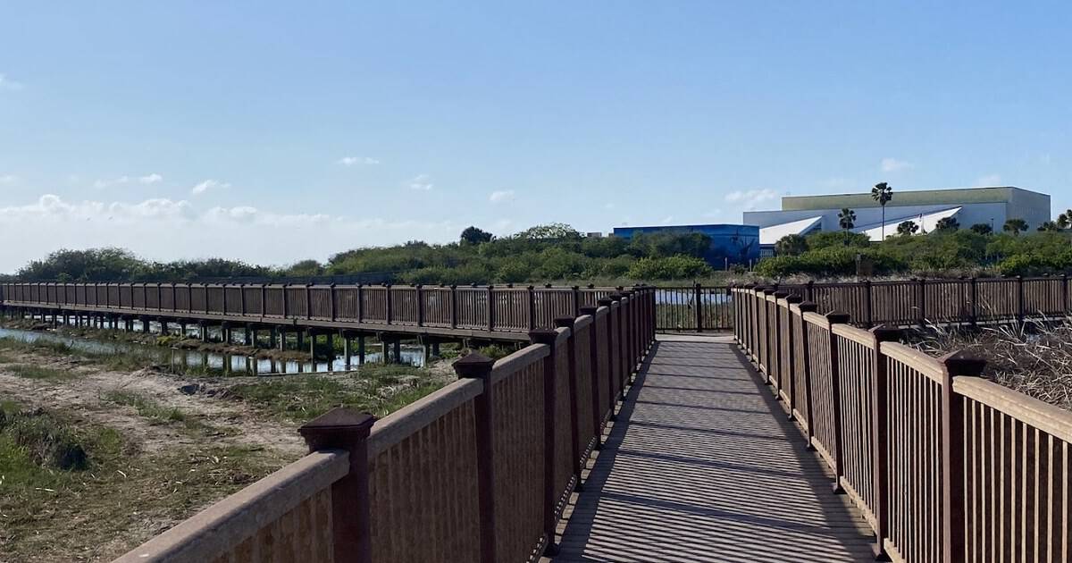 This Free Texas Coastal Boardwalk Is Priceless for Birdwatchers