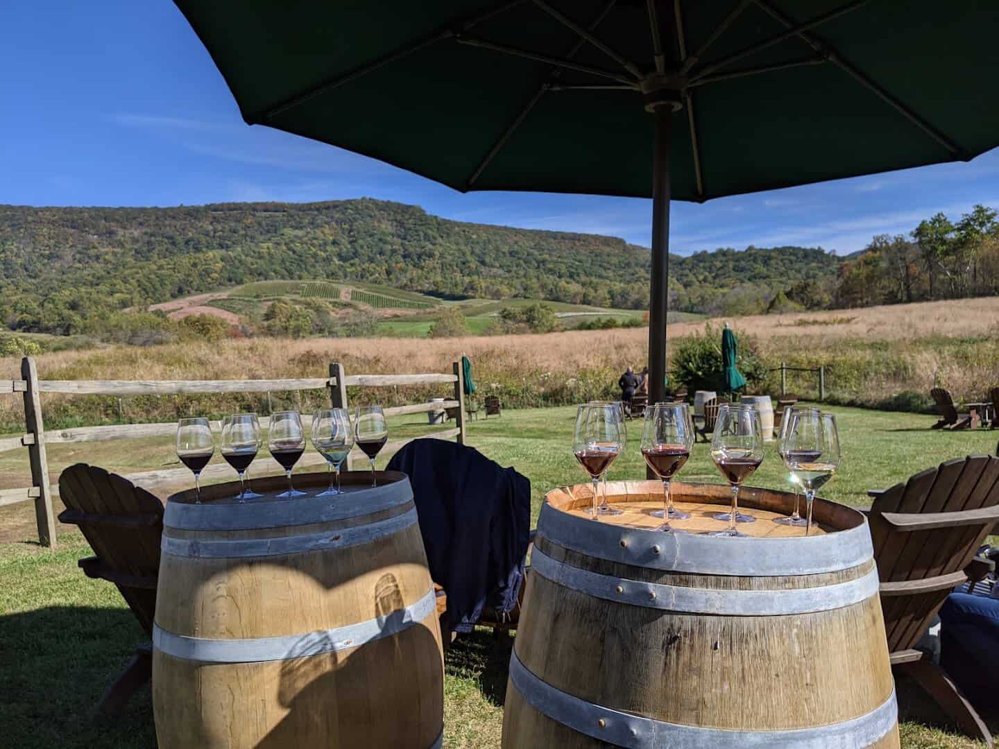 Wine and tasting on the lawn at Glen Manor Vineyards near Front Royal, Virginia