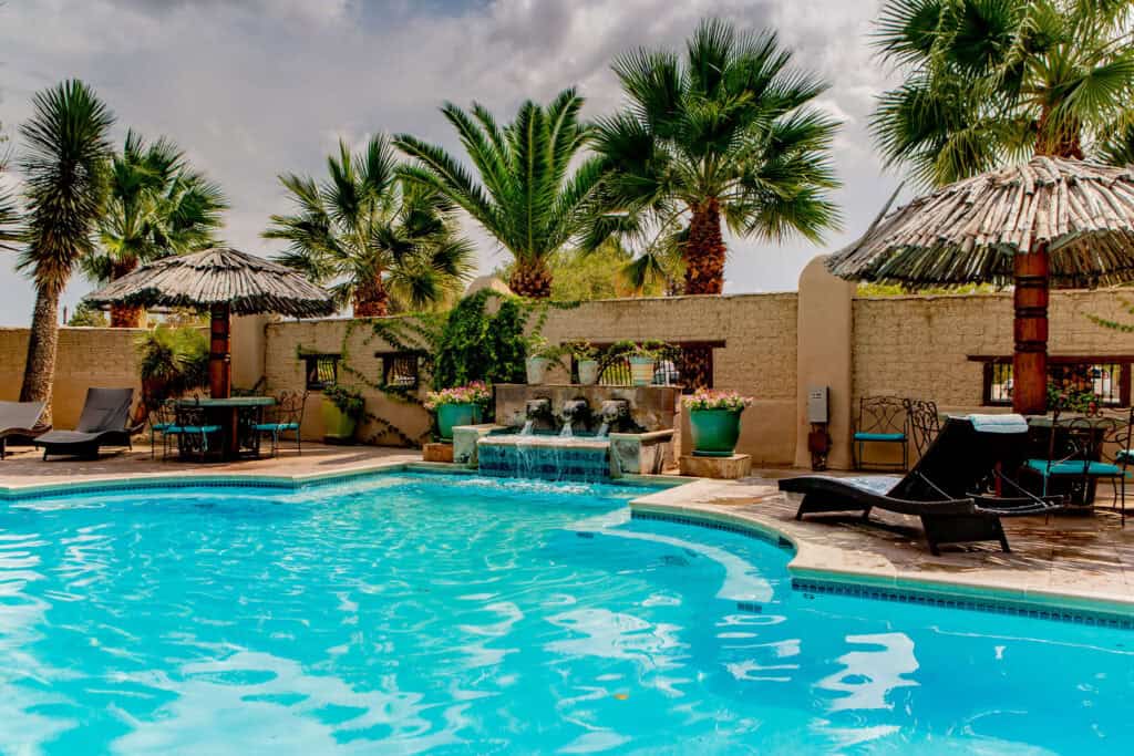 Heated pool surrounded by palm trees at the Gage Hotel