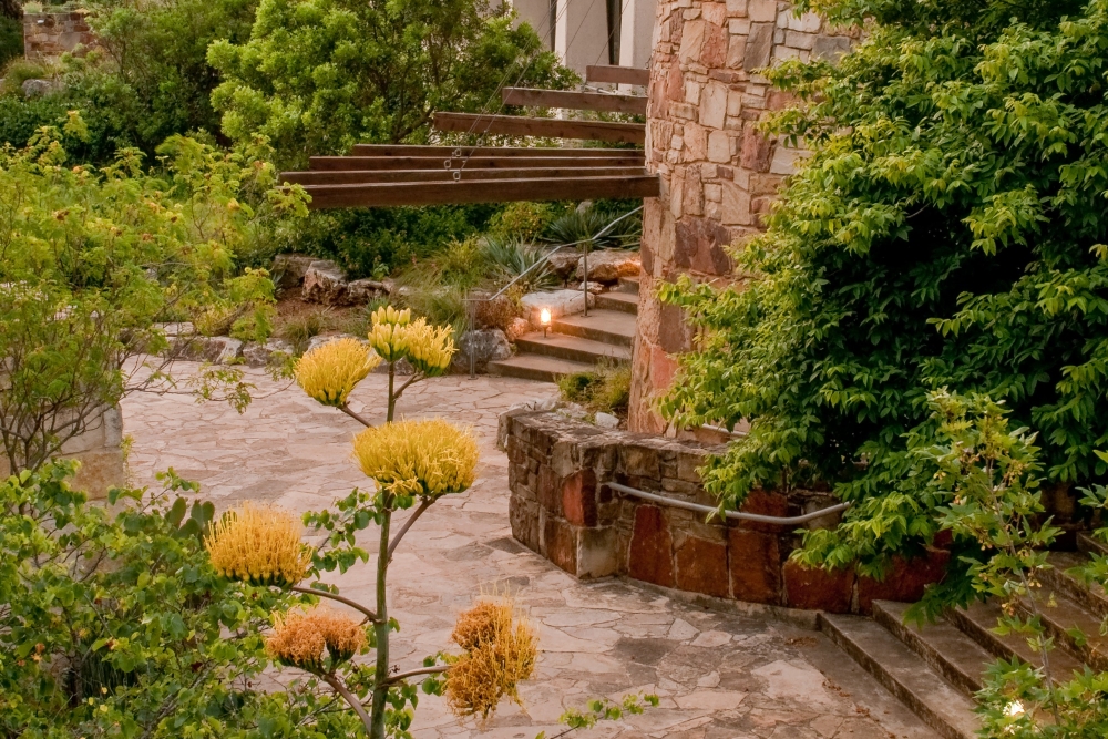 Stone garden arch framed by yellow wildflowers at the Lady Bird Johnson Wildflower Center in Austin