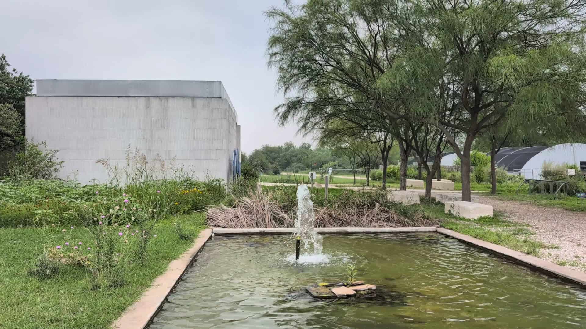 A fountain and reflecting pool in the gardens at the National Butterfly Center in Mission, Texas