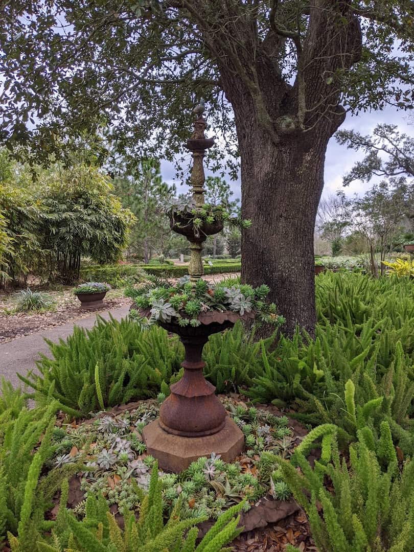 Garden fountain beneath a spreading oak at Shangri La Botanical Gardens in Orange, Texas