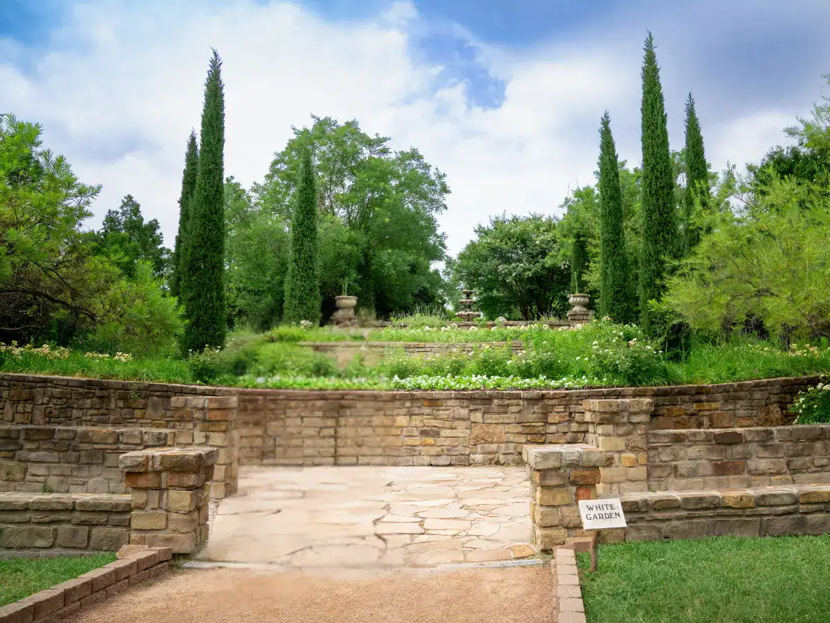 Garden landscape with cypress trees and a stone path at Clark Gardens in Weatherford, Texas