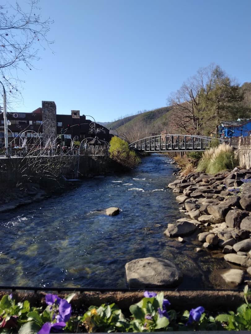Mountain stream and footbridge in Gatlinburg, Tennessee