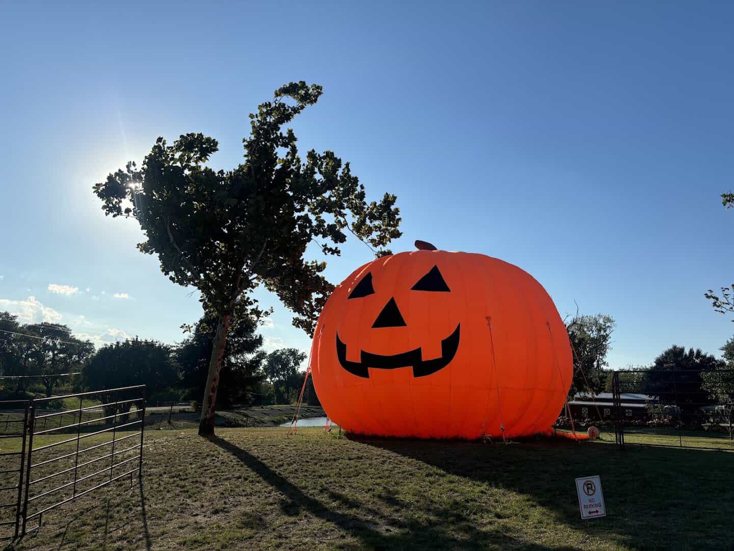 Giant carved pumpkin at the fall pumpkin patch at Huddin Homestead Fun Farm in Rockwall, Texas