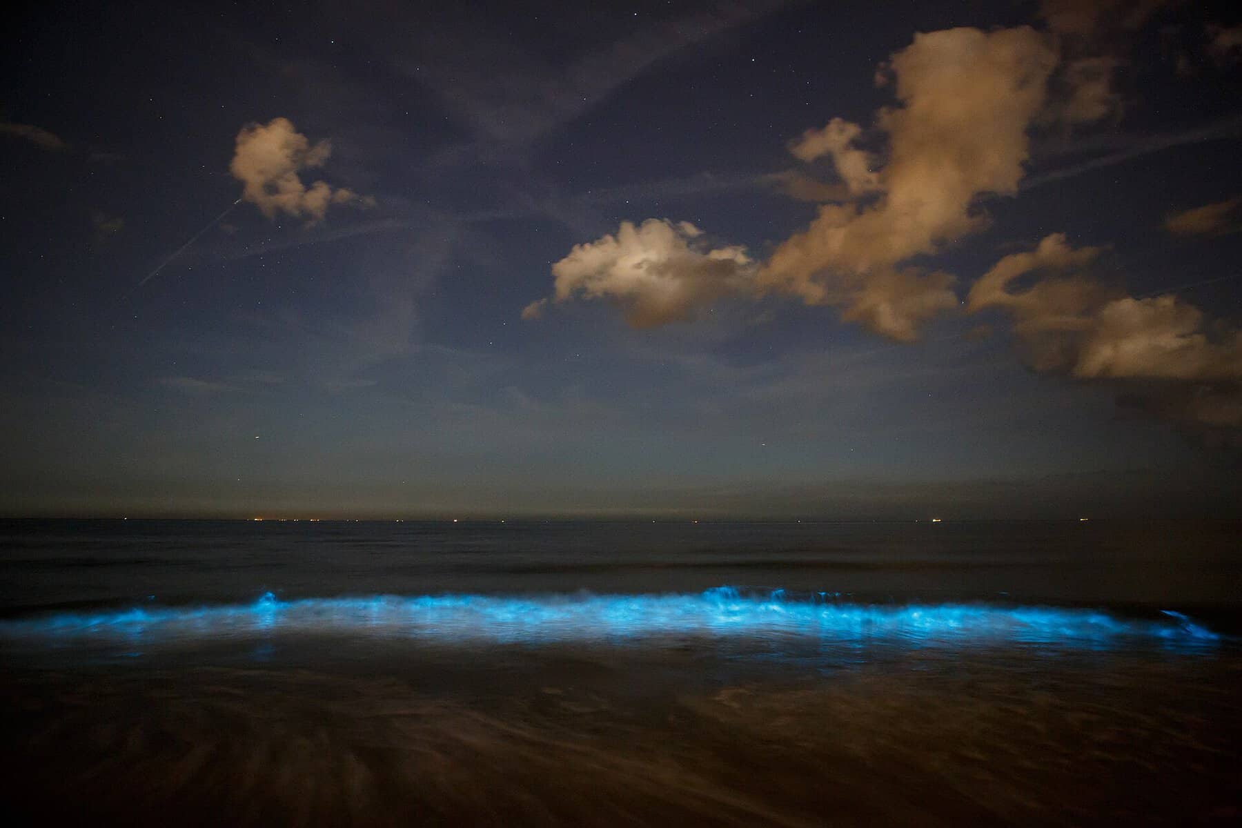 Bioluminescent waves glowing electric blue along a dark beach at night