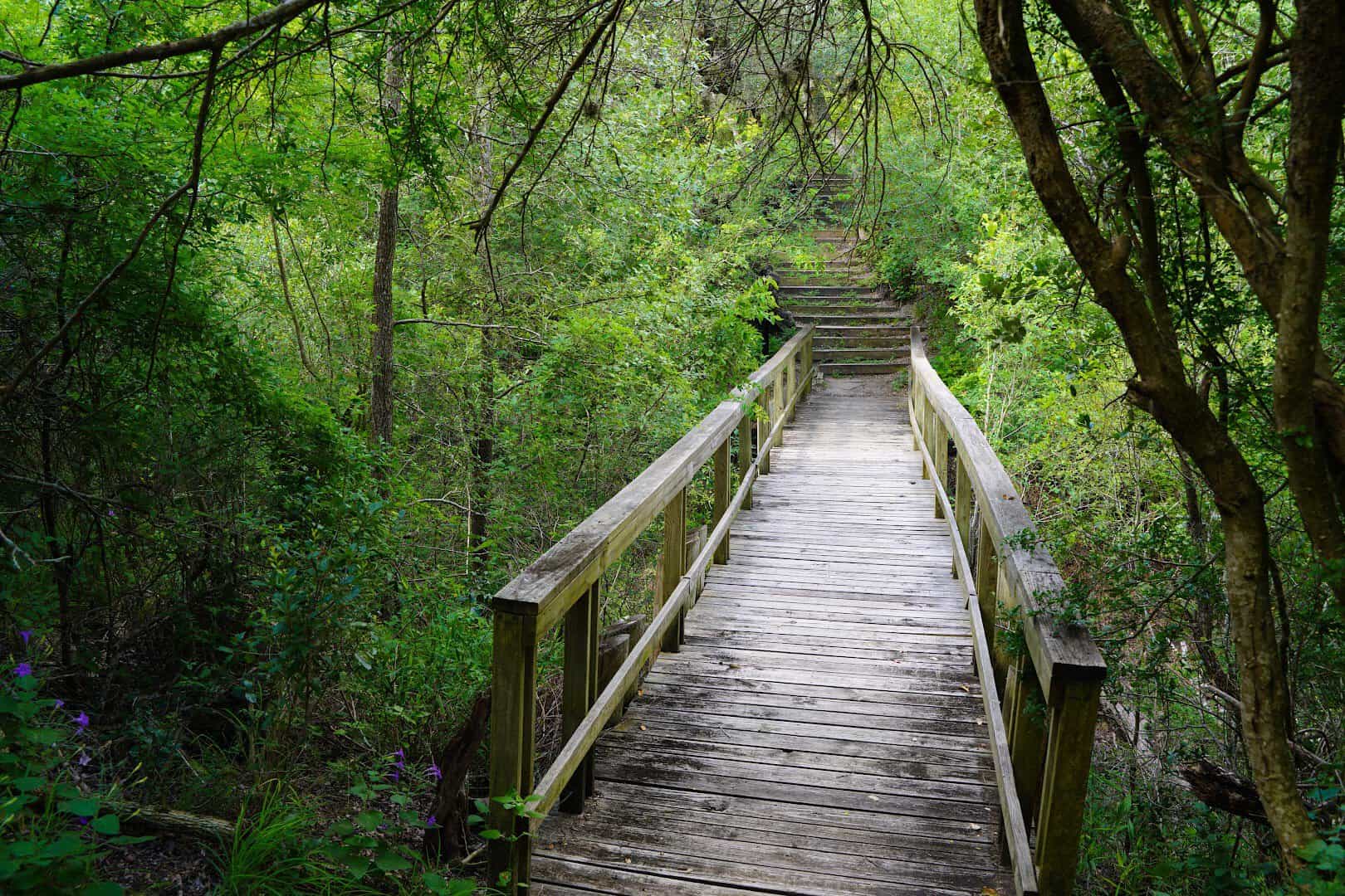 Wooden footbridge on a shaded nature trail at Goliad State Park