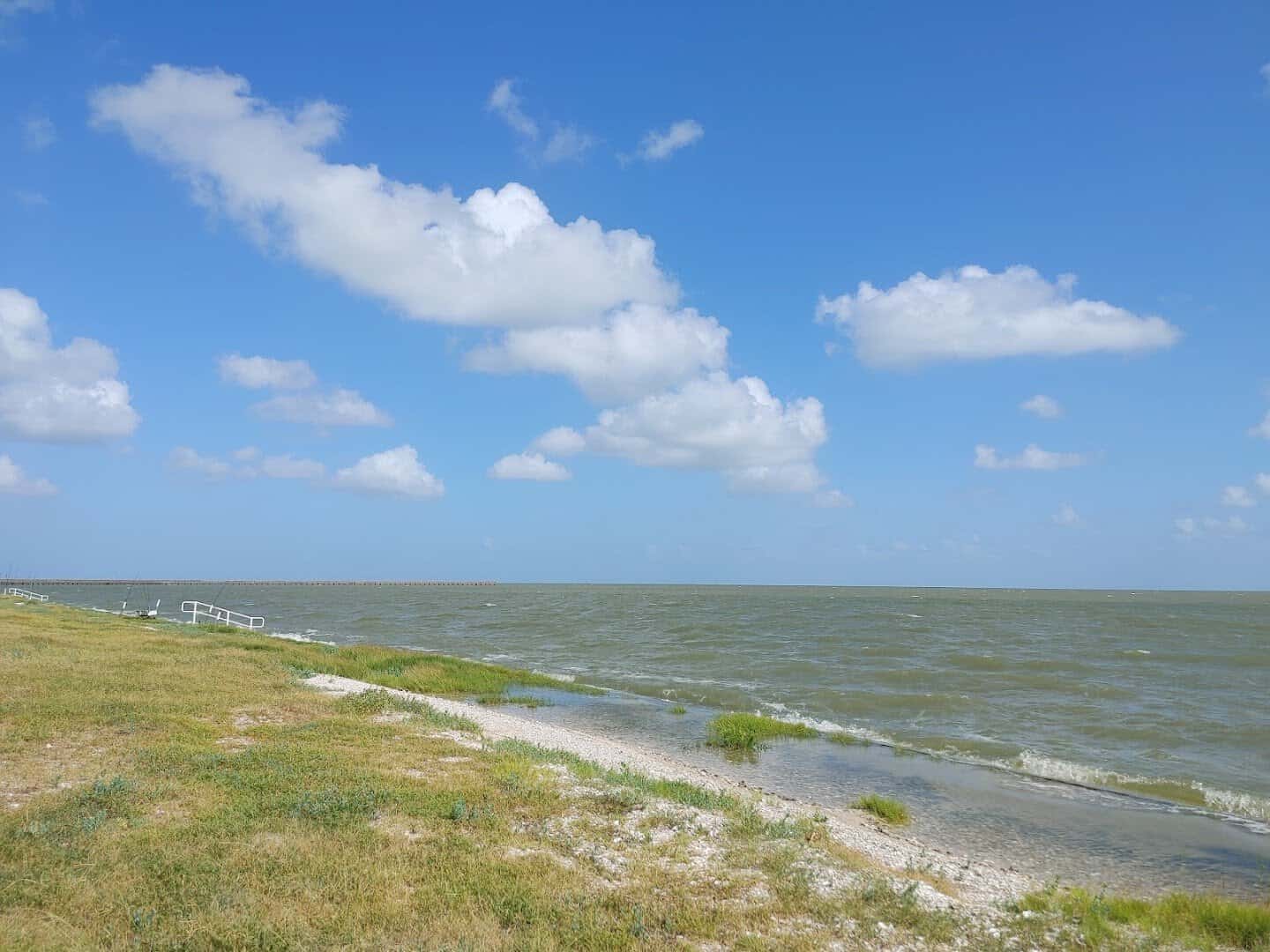 Oyster-shell shoreline and marsh grass along the bay at Goose Island State Park near Rockport, Texas