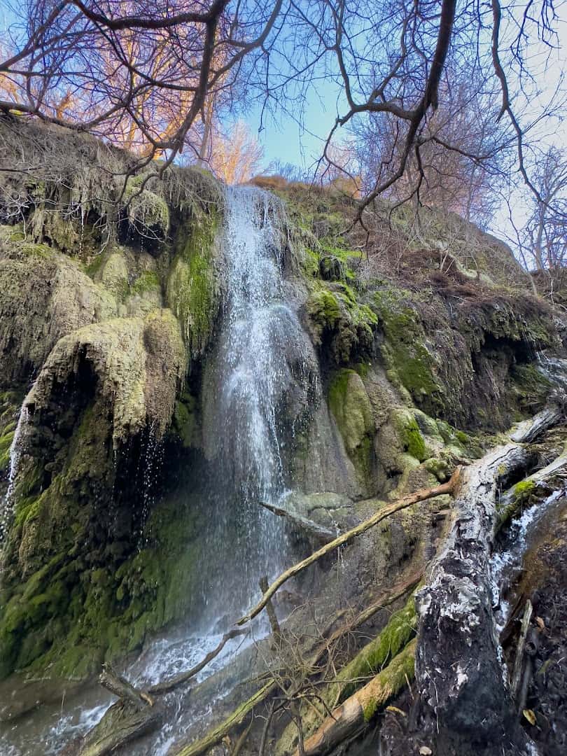Gorman Falls, a living travertine waterfall in Colorado Bend State Park, Texas