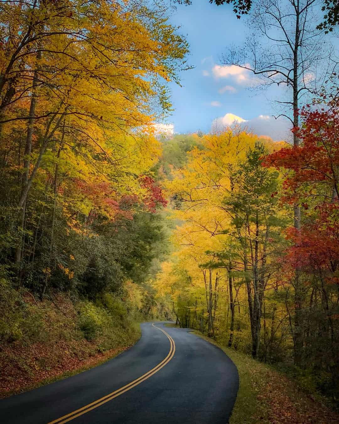 Winding road through autumn foliage in Great Smoky Mountains National Park, Tennessee