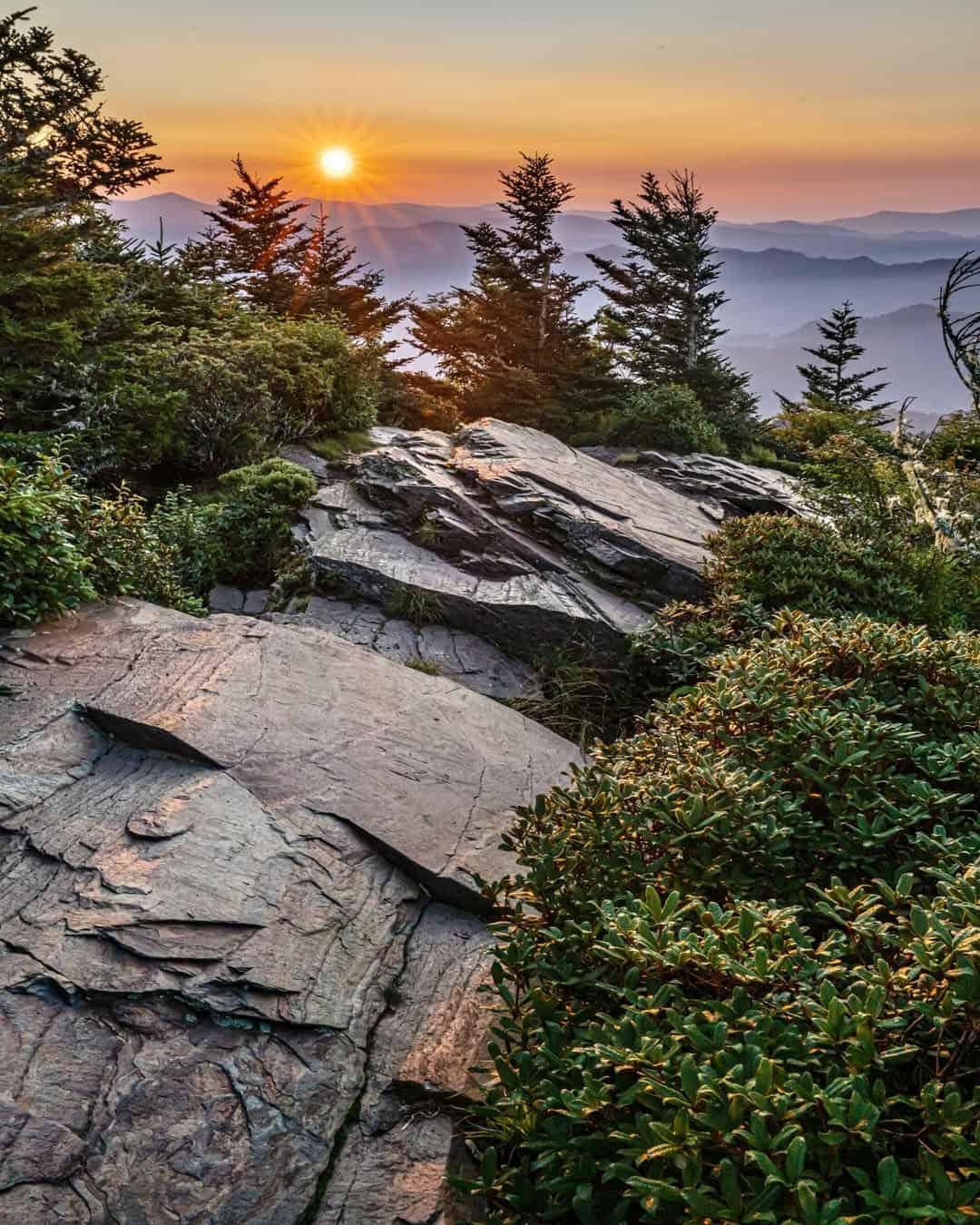 Layered blue ridges at sunrise in Great Smoky Mountains National Park, Tennessee