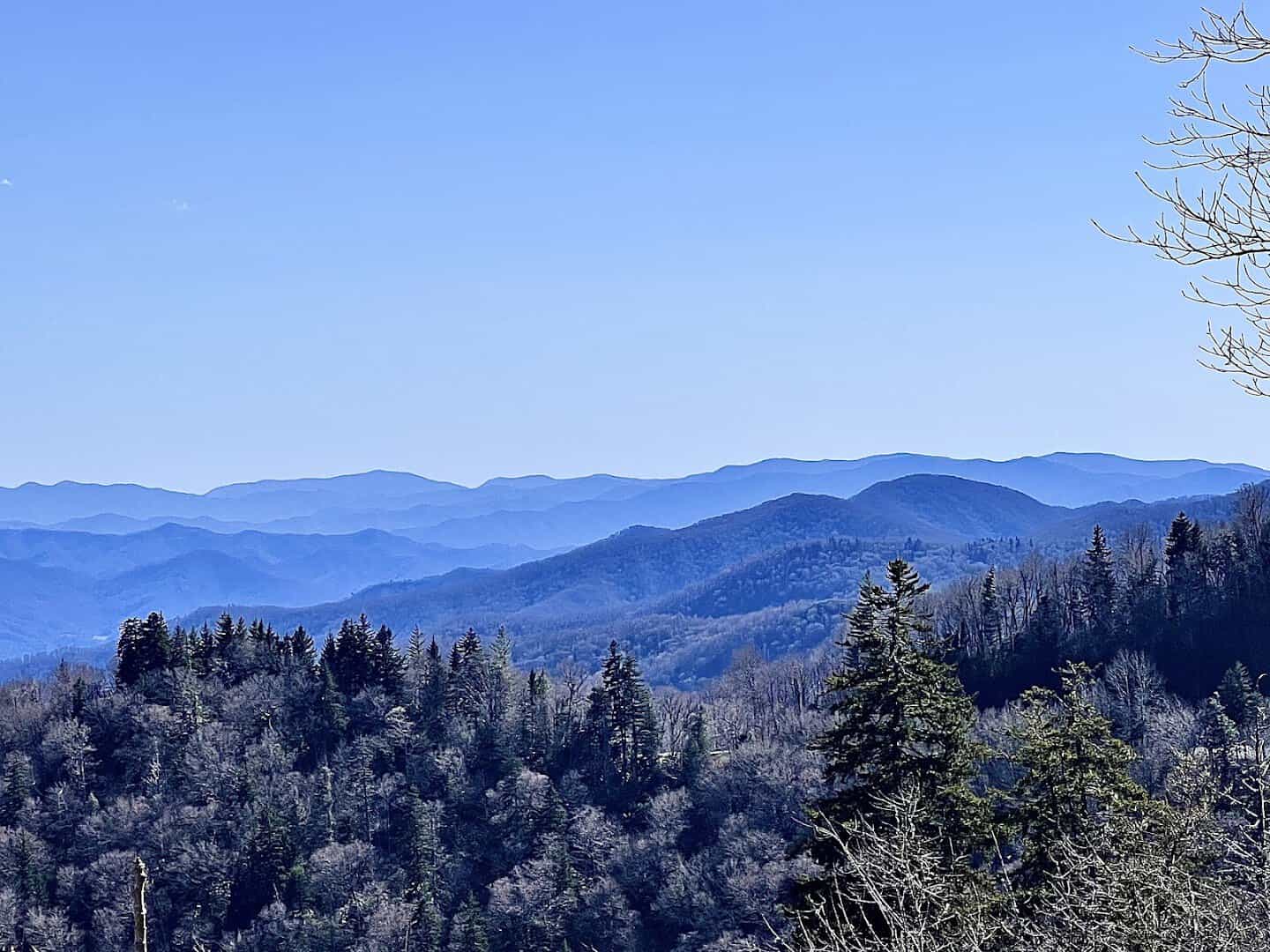 Bare blue ridges of Great Smoky Mountains in winter from Newfound Gap, Tennessee