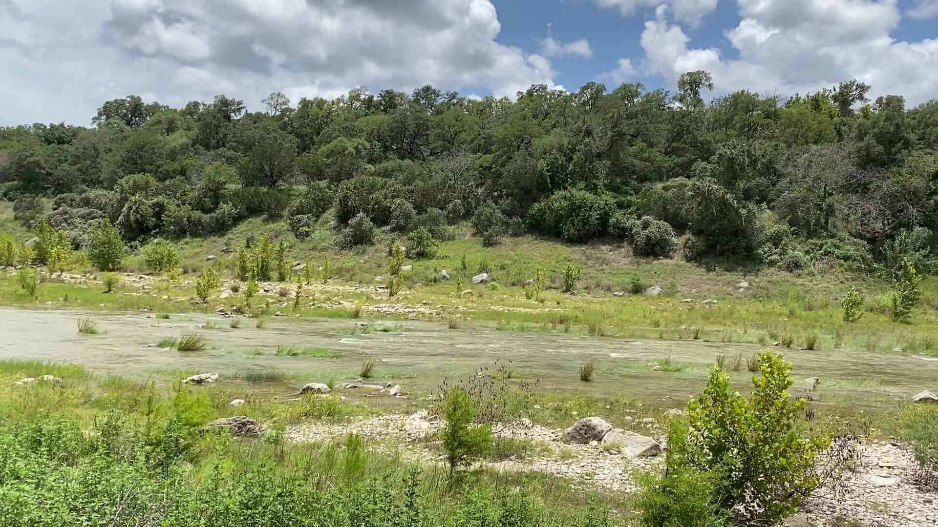 Green Hill Country meadow and river flat where wildlife roams at Milton Reimers Ranch Park