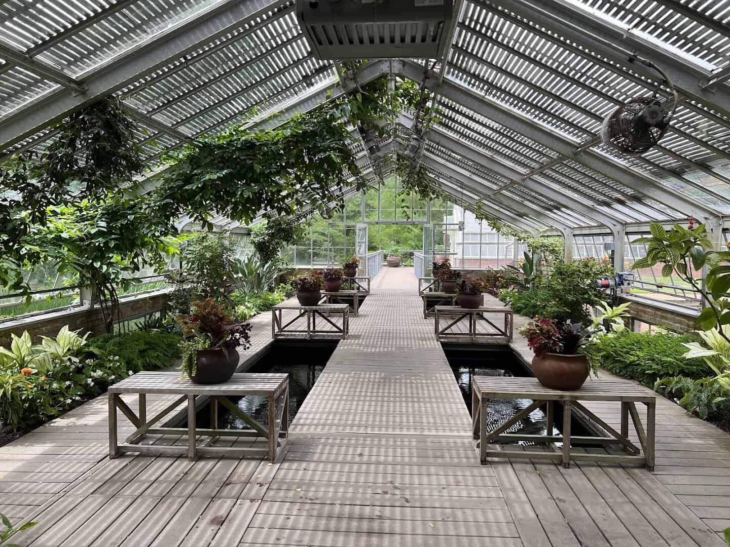 Sunlit greenhouse conservatory interior at Shangri La Botanical Gardens in Orange, Texas