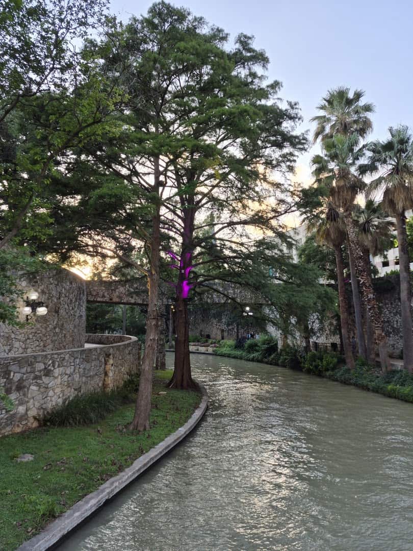 Shaded walking path along the Museum Reach near The Grotto in San Antonio