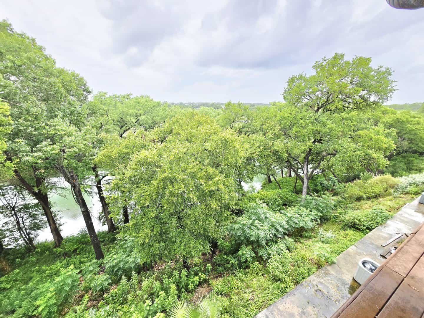 The Guadalupe River winding through the trees below Gruene River Grill in New Braunfels