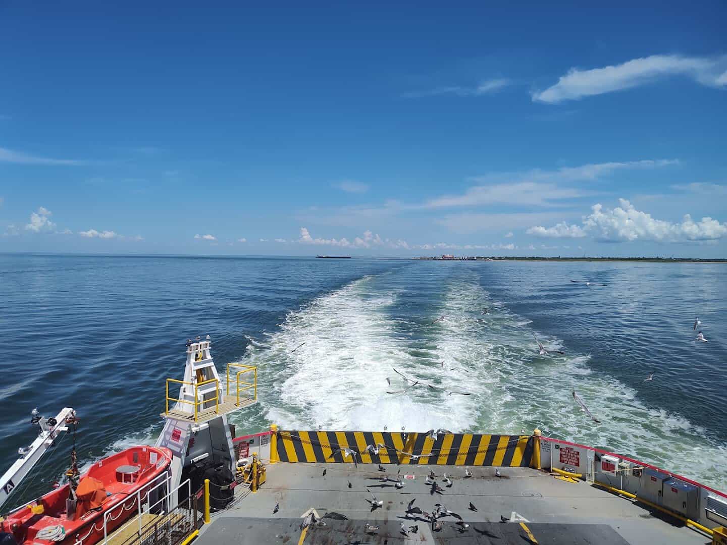 Gulls trailing the stern and landing on the deck of the Galveston to Port Bolivar ferry