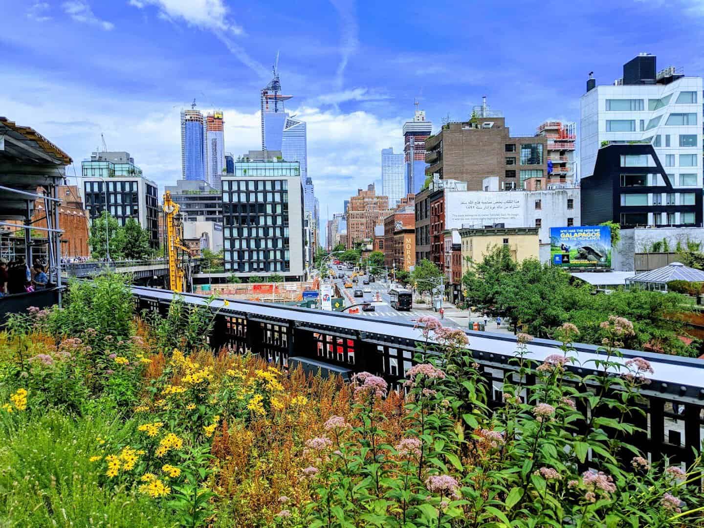 Plantings along the High Line with the Manhattan skyline, New York City